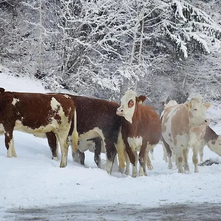 In Near Spieljochbahn 公寓 *